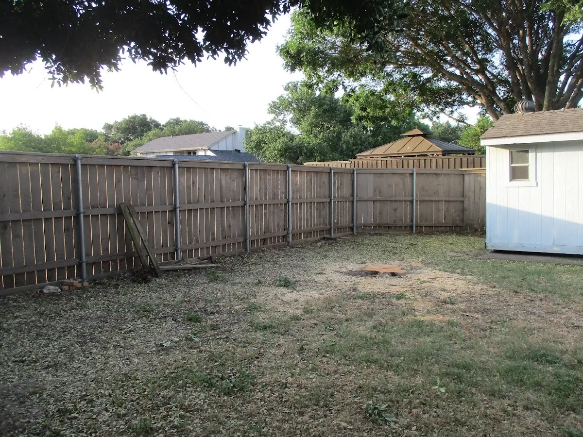 Cleared yard after professional tree removal in Clarks Mills