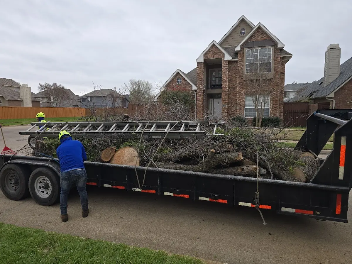 Expert Tree Pest Control with proper safety equipment in Clarks Mills
